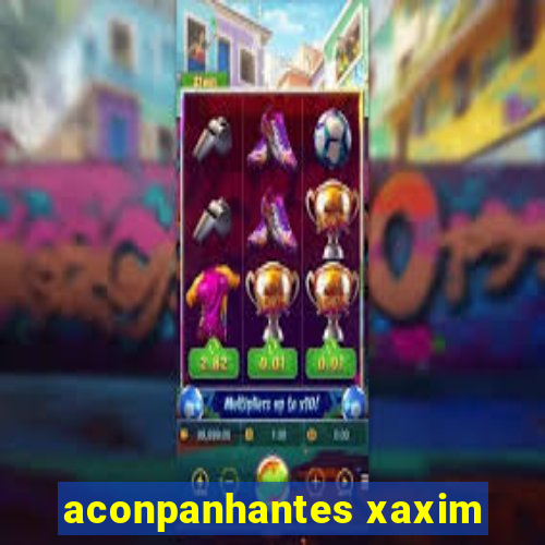 aconpanhantes xaxim